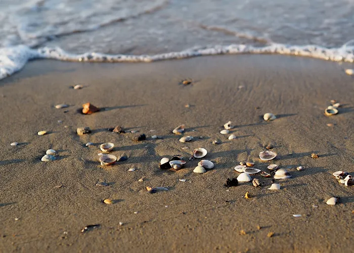 Lovely Flat Just 400mt From The Sea Lägenhet *